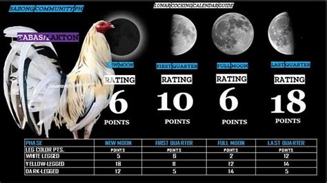 sabong calendar guide|Sabong ALL STAR .